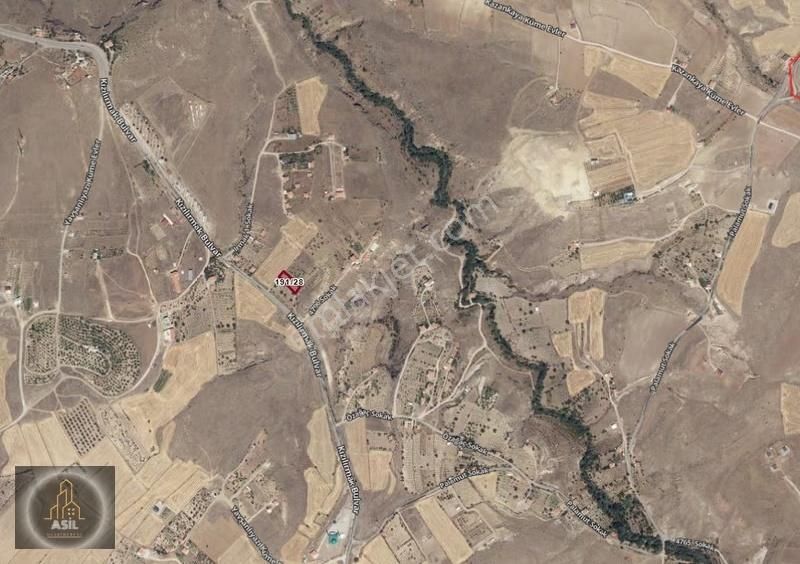 Birsen Durna Dan Kocasinan Kuşçu Da 520 M2 Bakımlı Satılık Bağ - Görsel 5