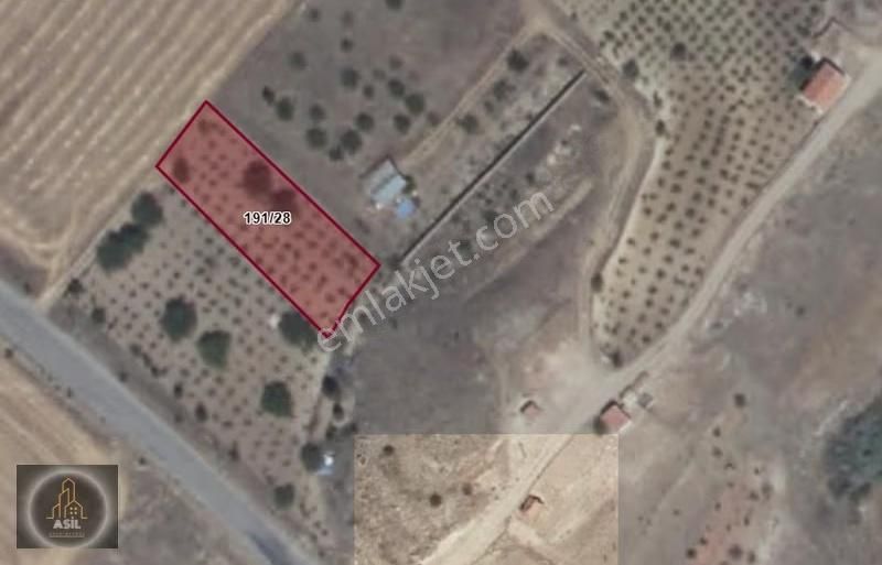 Birsen Durna Dan Kocasinan Kuşçu Da 520 M2 Bakımlı Satılık Bağ