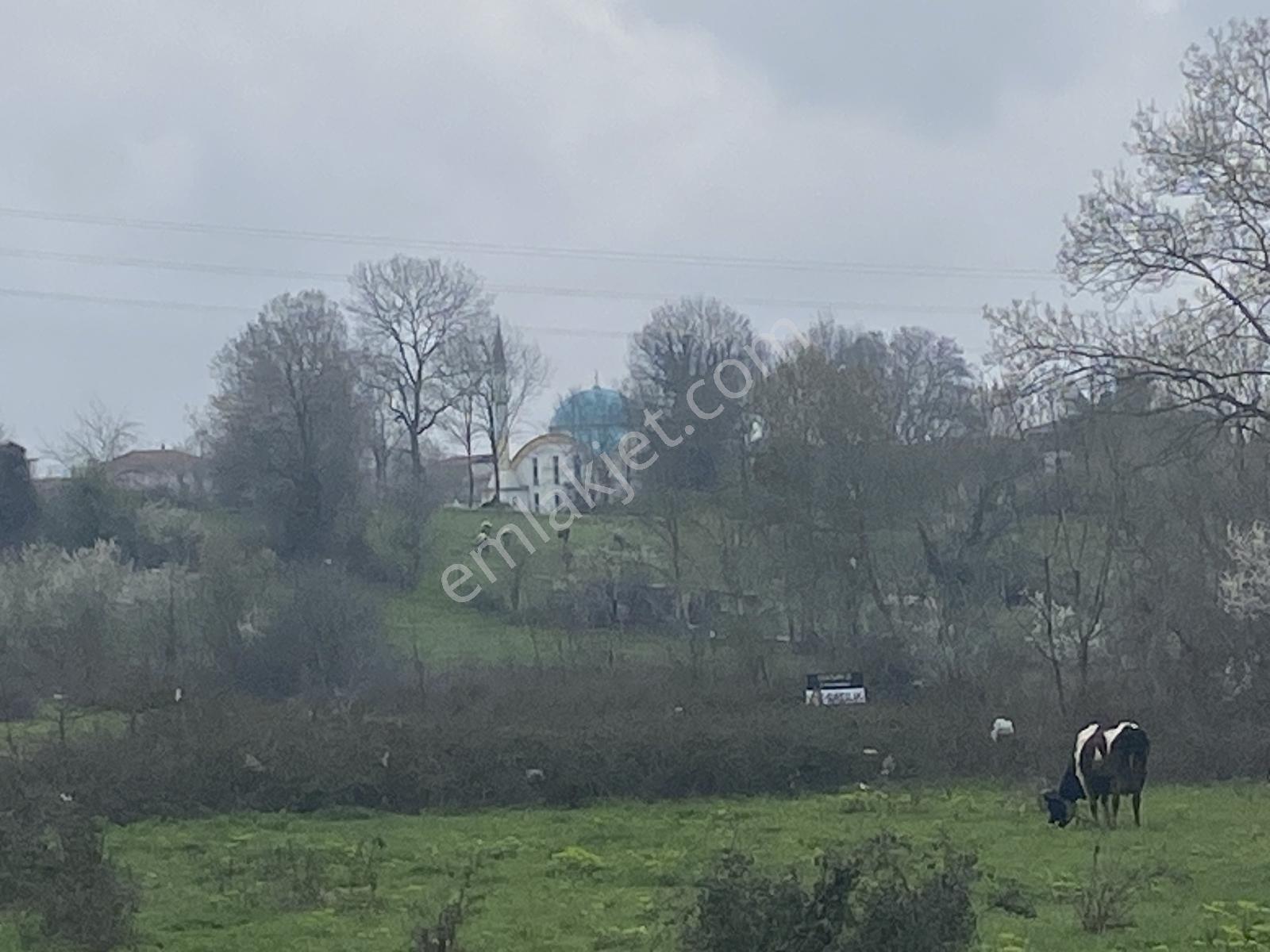 Sakarya Arifiye Neviye Mahallesinde Yatırım Değeri Yüksek Arsa - Görsel 12