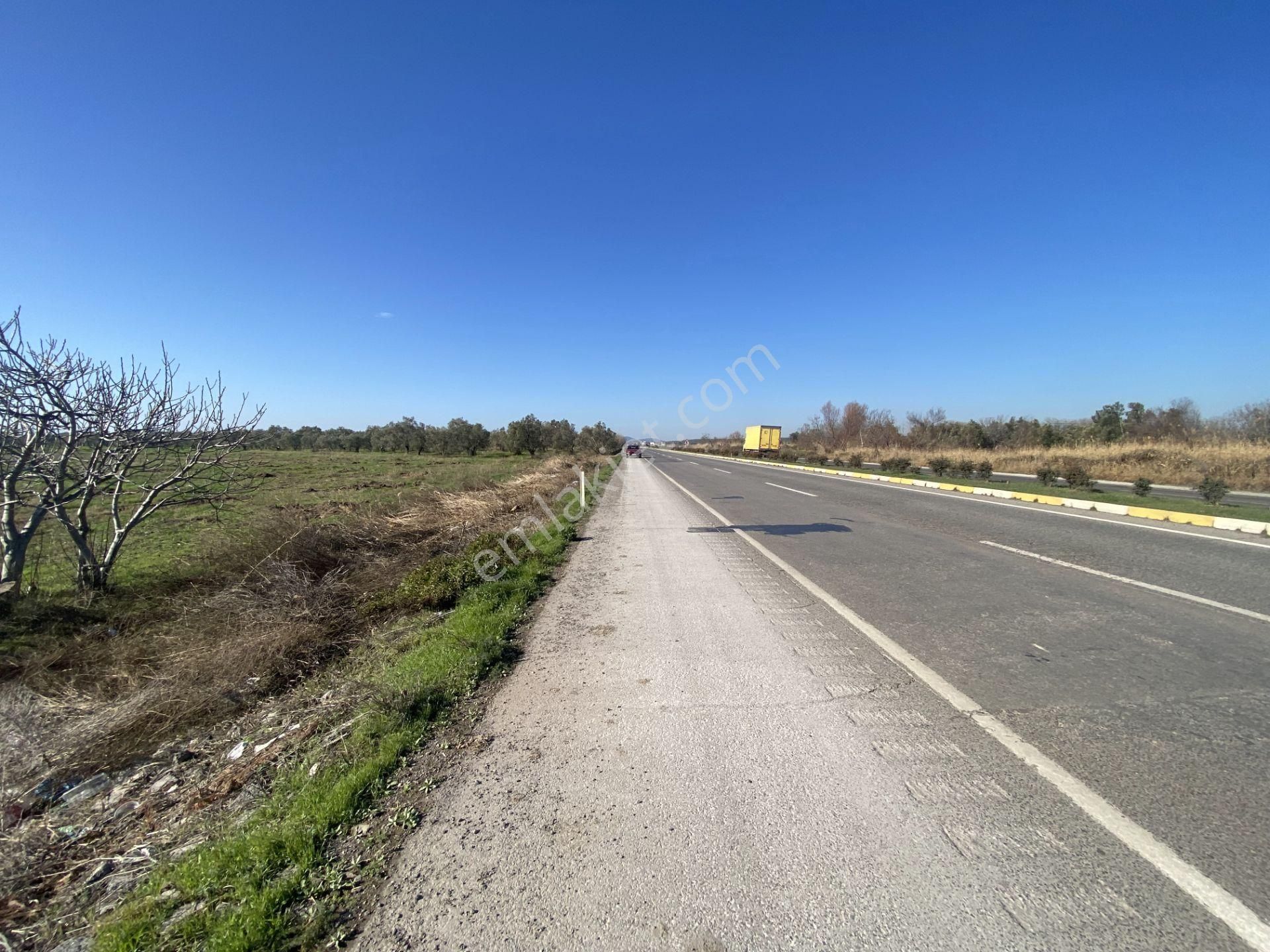 Balıkesir Ayvalık Altınova Da Satılık 20 Dönüm Tarla - Görsel 10