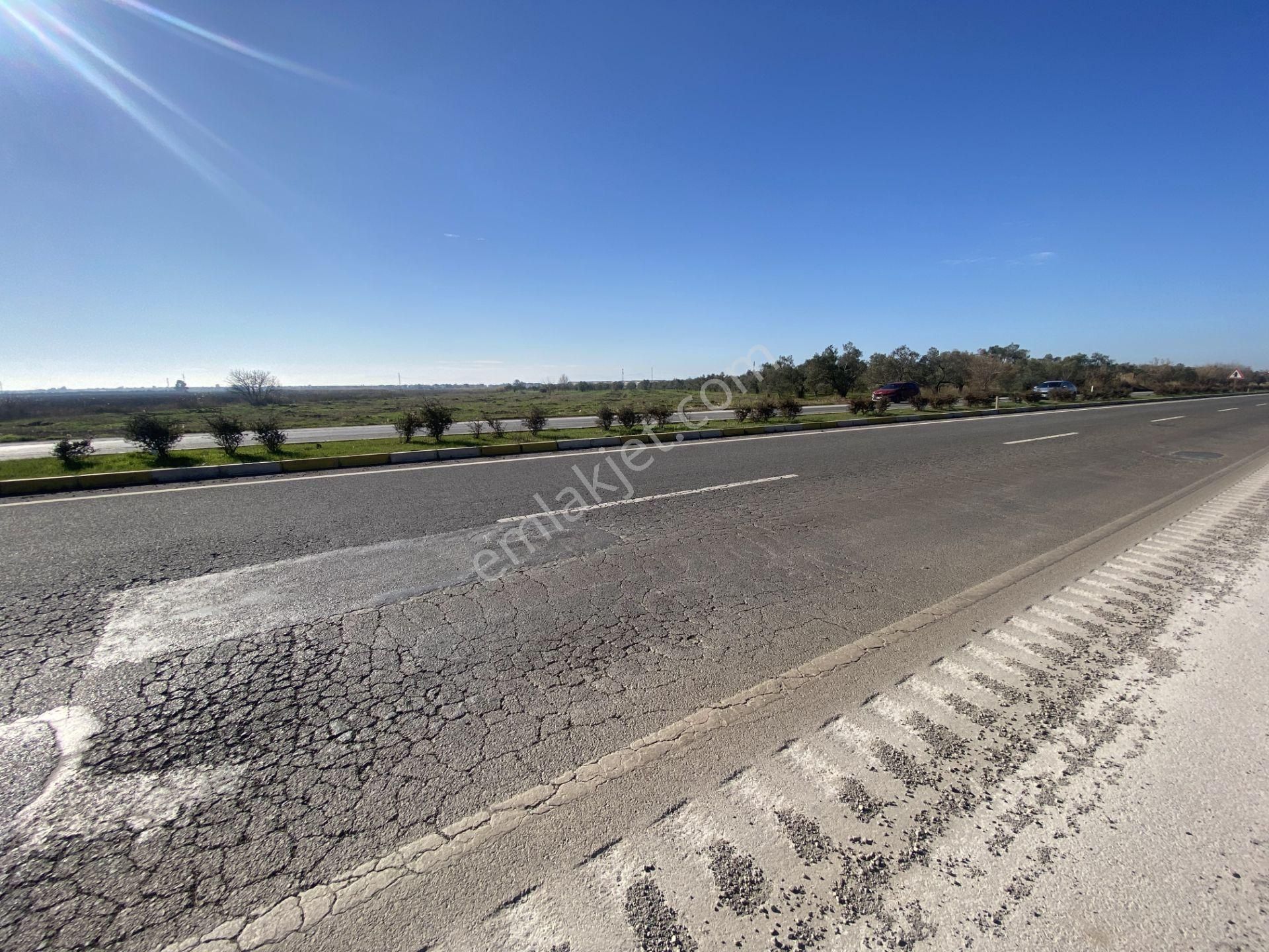 Balıkesir Ayvalık Altınova Da Satılık 20 Dönüm Tarla - Görsel 7