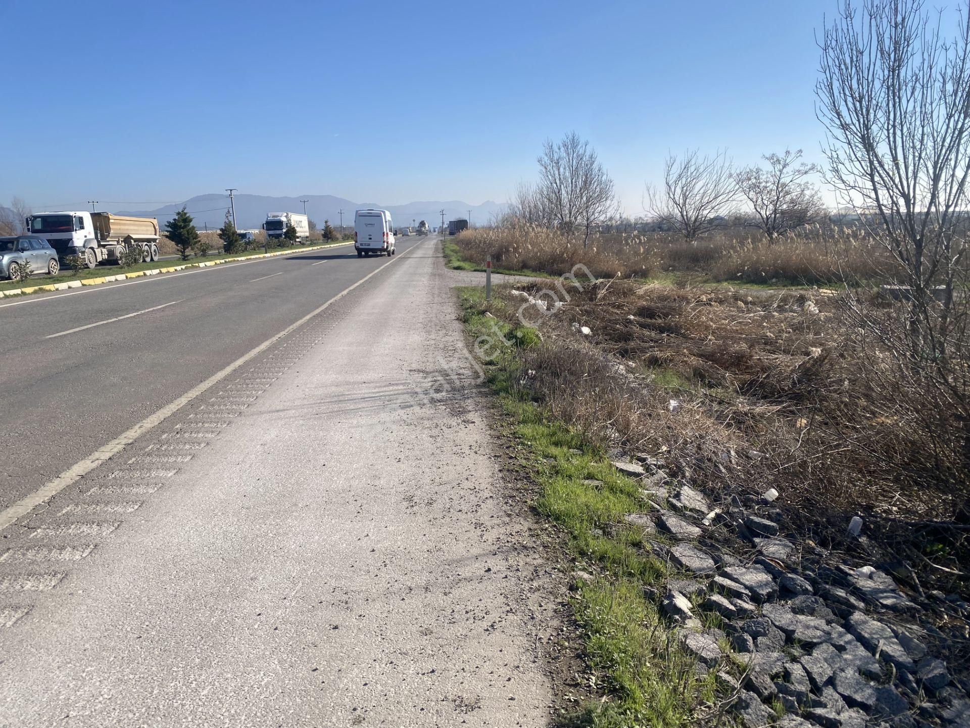 Balıkesir Ayvalık Altınova Da Satılık 20 Dönüm Tarla - Görsel 13