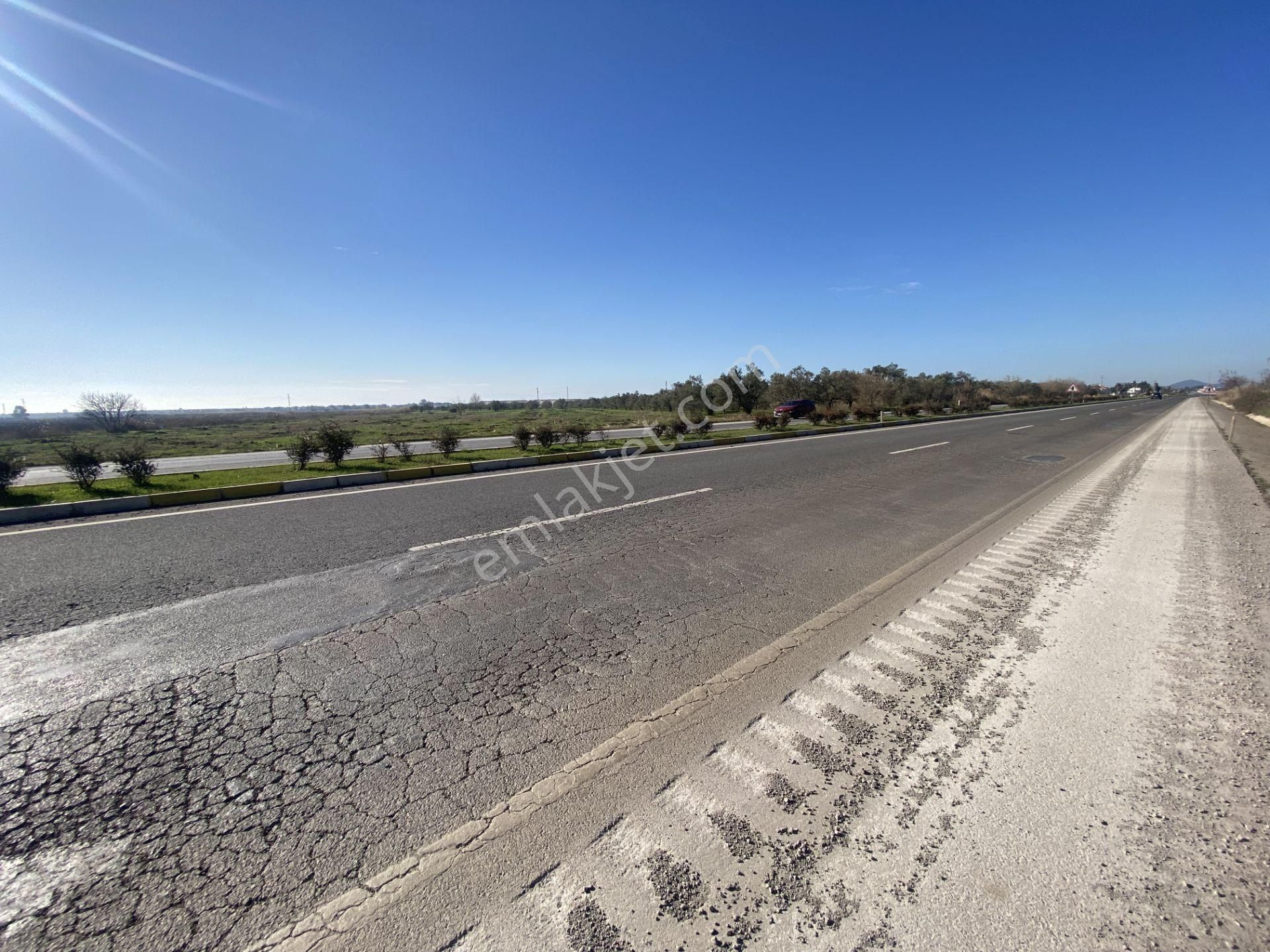 Balıkesir Ayvalık Altınova Da Satılık 20 Dönüm Tarla - Görsel 4