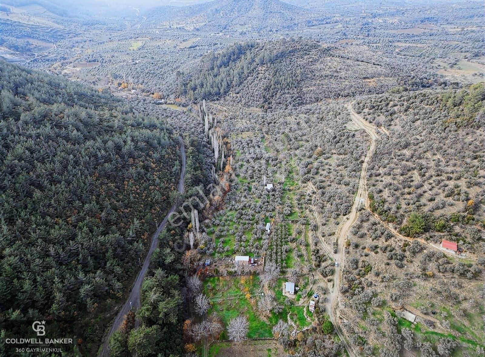 İzmir/torbalı/karakızlar Satılık Tek Tapu 2.462m2 Tarla - Görsel 28