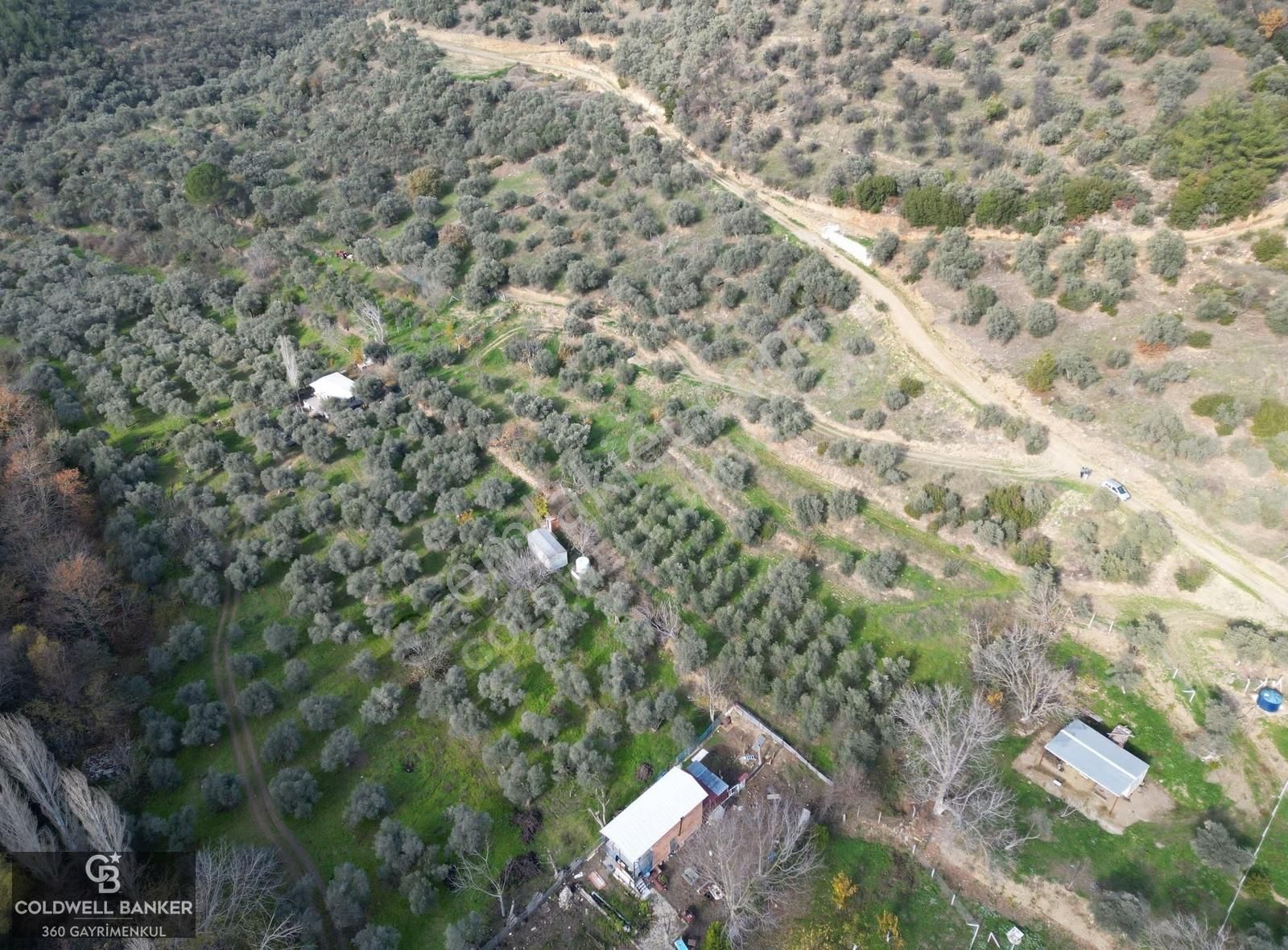 İzmir/torbalı/karakızlar Satılık Tek Tapu 2.462m2 Tarla - Görsel 8