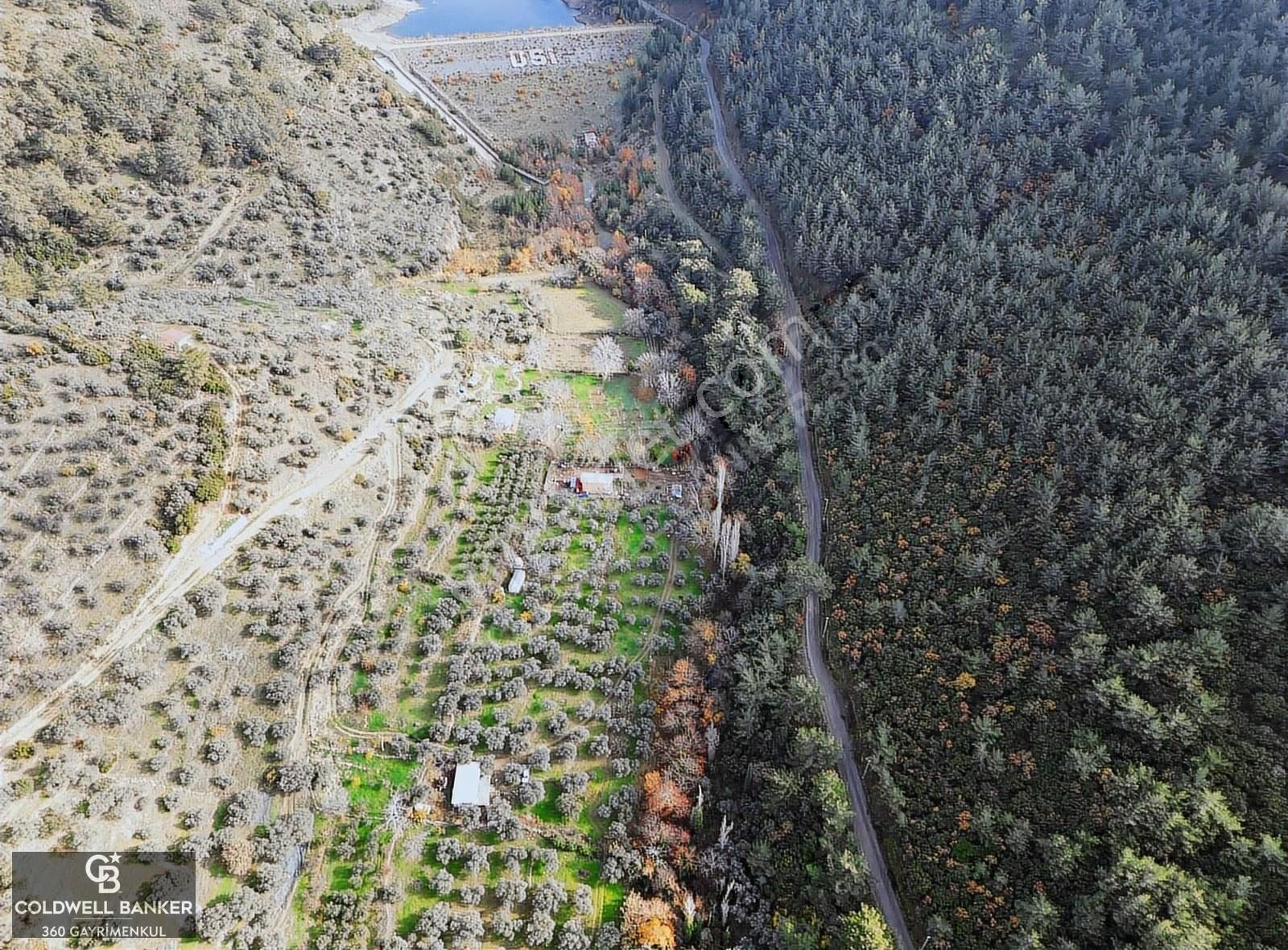 İzmir/torbalı/karakızlar Satılık Tek Tapu 2.462m2 Tarla - Görsel 23