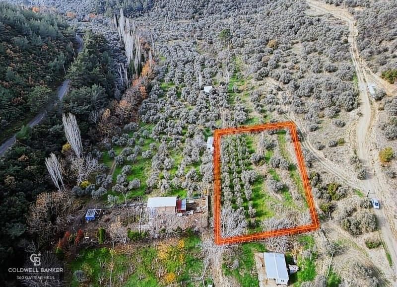 İzmir/torbalı/karakızlar Satılık Tek Tapu 2.462m2 Tarla - Görsel 25