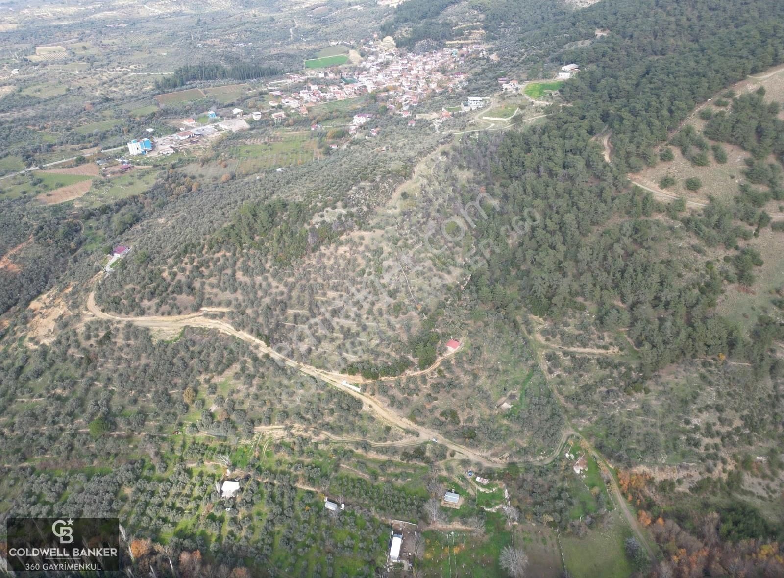 İzmir/torbalı/karakızlar Satılık Tek Tapu 2.462m2 Tarla - Görsel 12