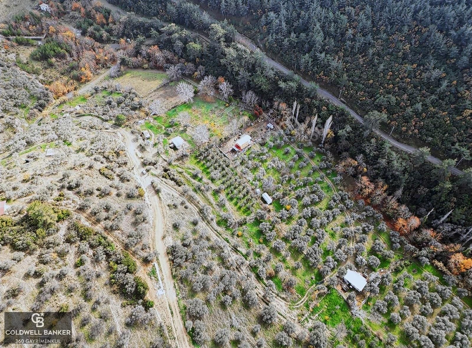 İzmir/torbalı/karakızlar Satılık Tek Tapu 2.462m2 Tarla - Görsel 26