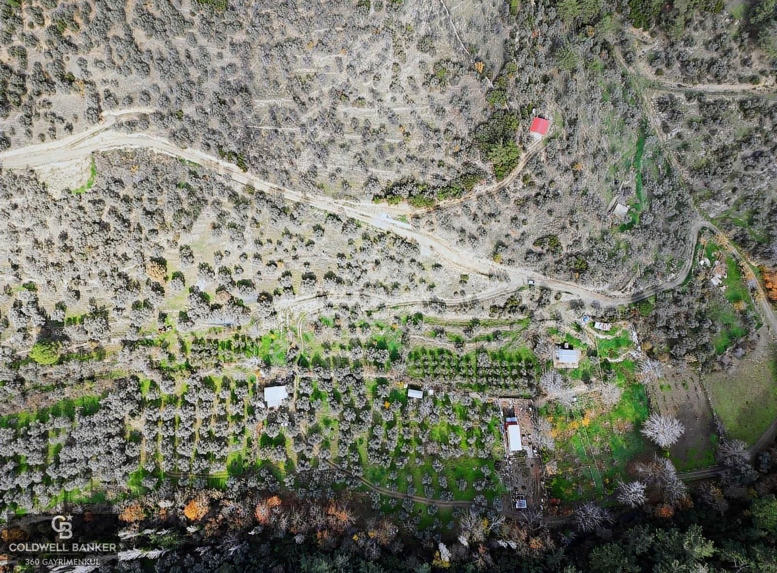 İzmir/torbalı/karakızlar Satılık Tek Tapu 2.462m2 Tarla - Görsel 2