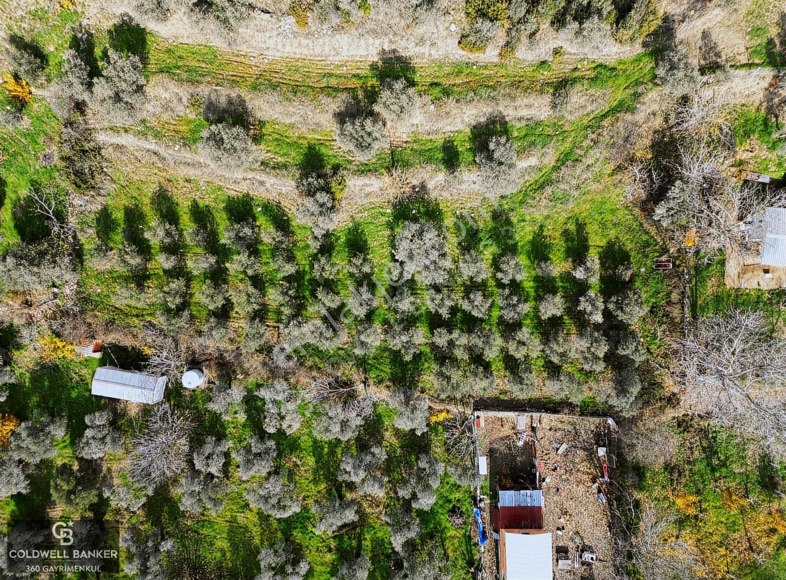 İzmir/torbalı/karakızlar Satılık Tek Tapu 2.462m2 Tarla - Görsel 30