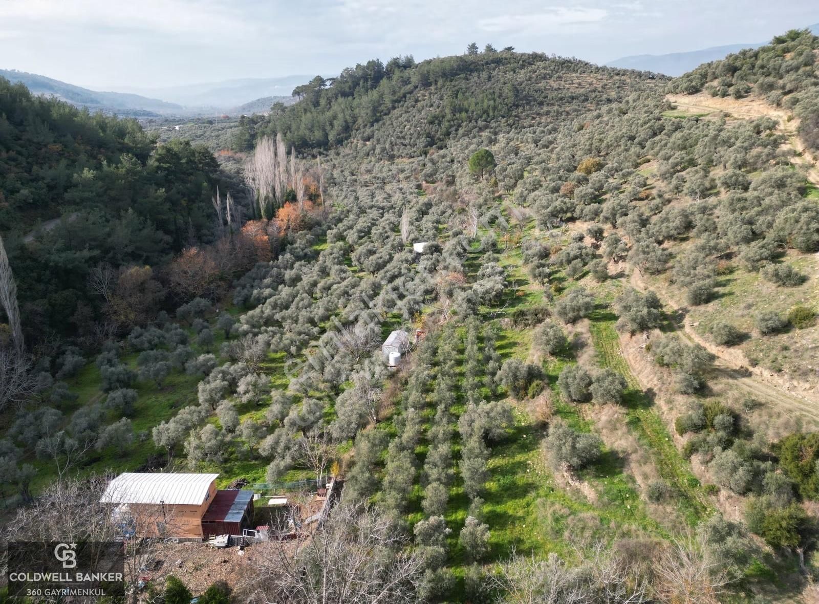 İzmir/torbalı/karakızlar Satılık Tek Tapu 2.462m2 Tarla - Görsel 34