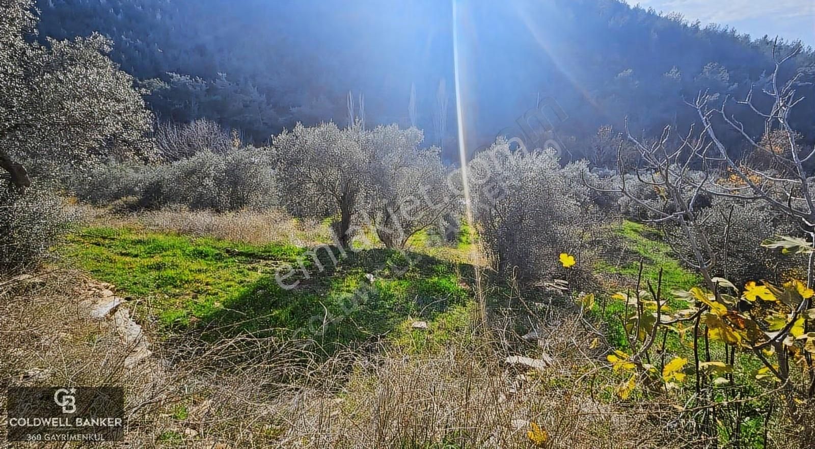 İzmir/torbalı/karakızlar Satılık Tek Tapu 2.462m2 Tarla - Görsel 17