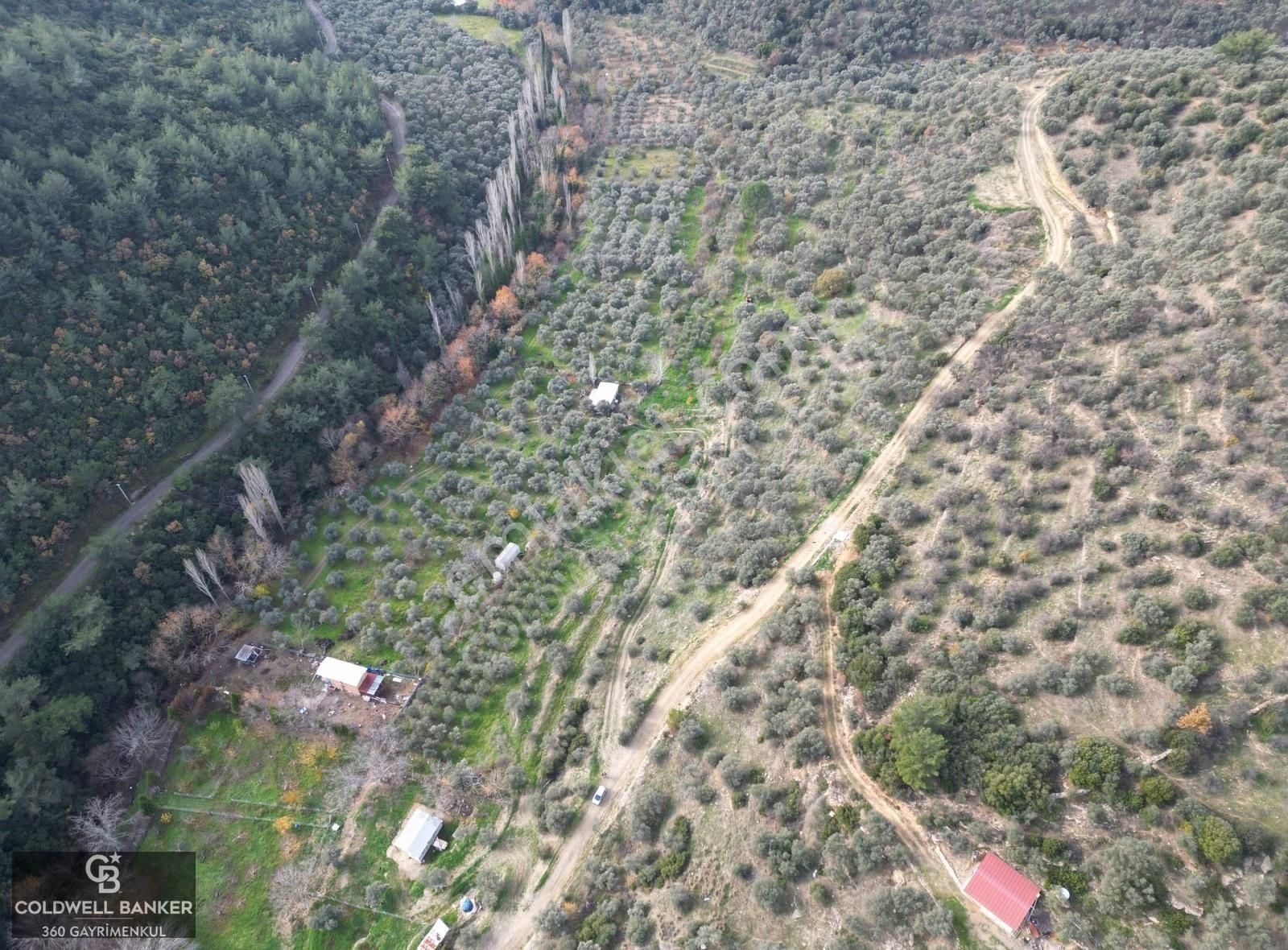 İzmir/torbalı/karakızlar Satılık Tek Tapu 2.462m2 Tarla - Görsel 7