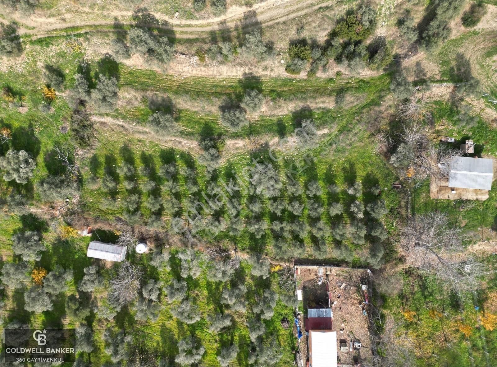 İzmir/torbalı/karakızlar Satılık Tek Tapu 2.462m2 Tarla - Görsel 35