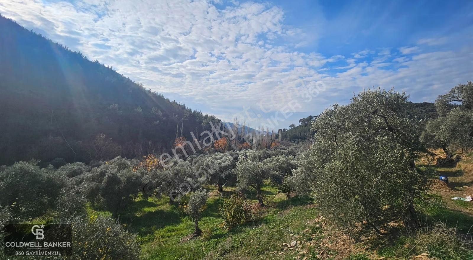 İzmir/torbalı/karakızlar Satılık Tek Tapu 2.462m2 Tarla - Görsel 33