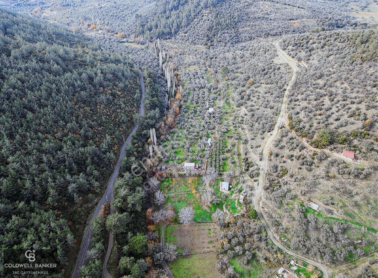 İzmir/torbalı/karakızlar Satılık Tek Tapu 2.462m2 Tarla - Görsel 22