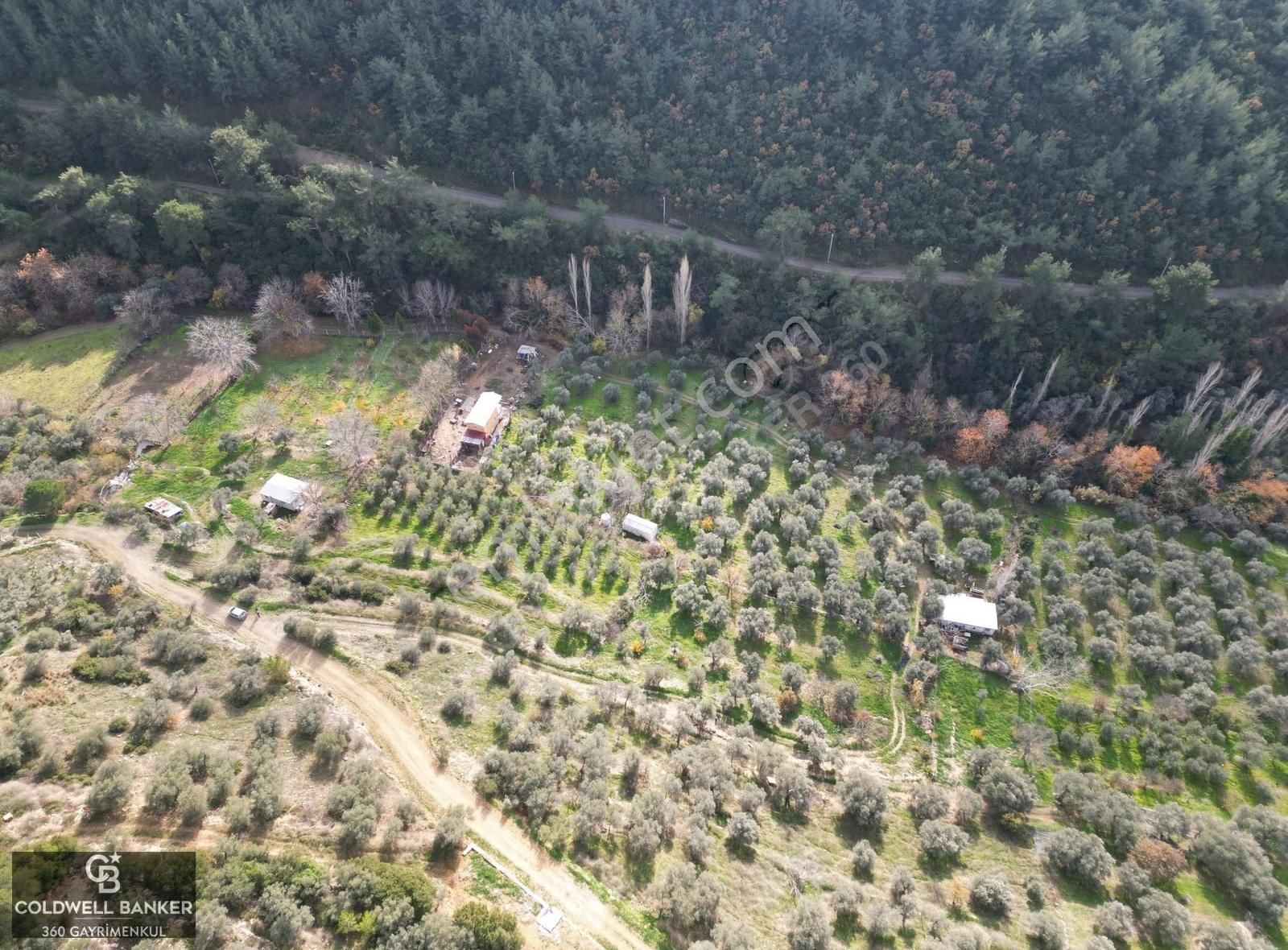 İzmir/torbalı/karakızlar Satılık Tek Tapu 2.462m2 Tarla - Görsel 4