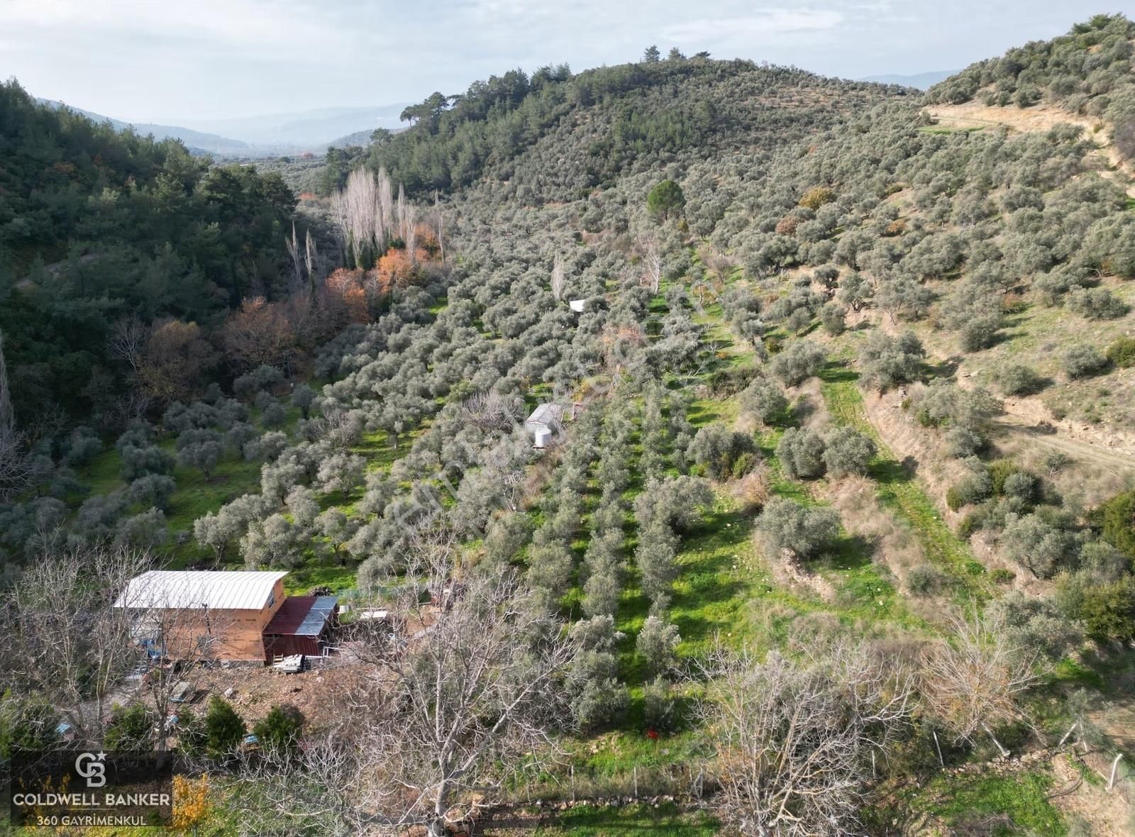 İzmir/torbalı/karakızlar Satılık Tek Tapu 2.462m2 Tarla - Görsel 6