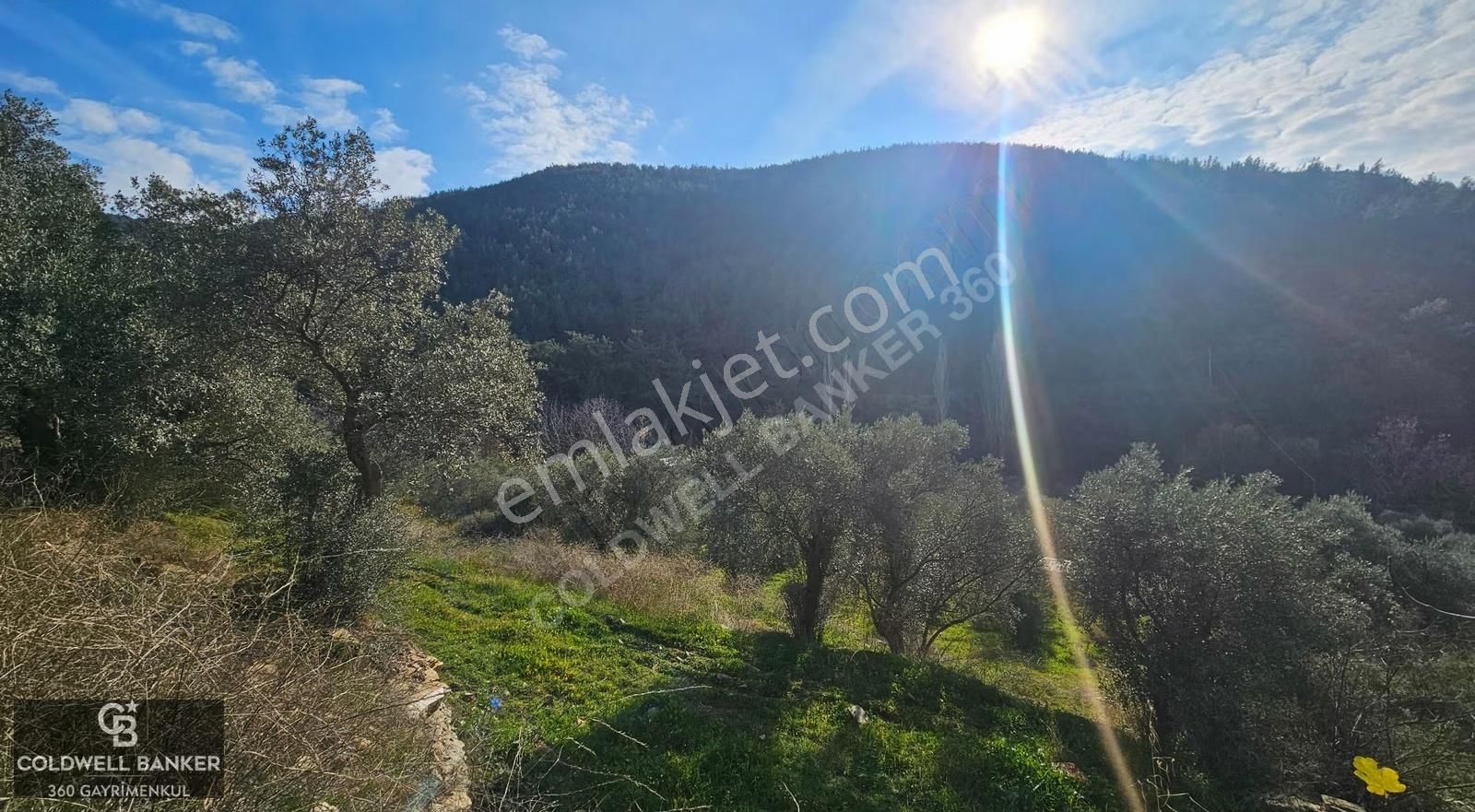 İzmir/torbalı/karakızlar Satılık Tek Tapu 2.462m2 Tarla - Görsel 20