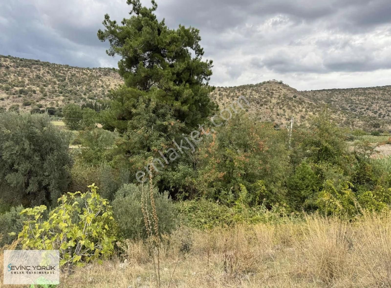 Menemen Manisa Yolu Üzerinde 824 M² Tek Tapu Tarla - Görsel 22