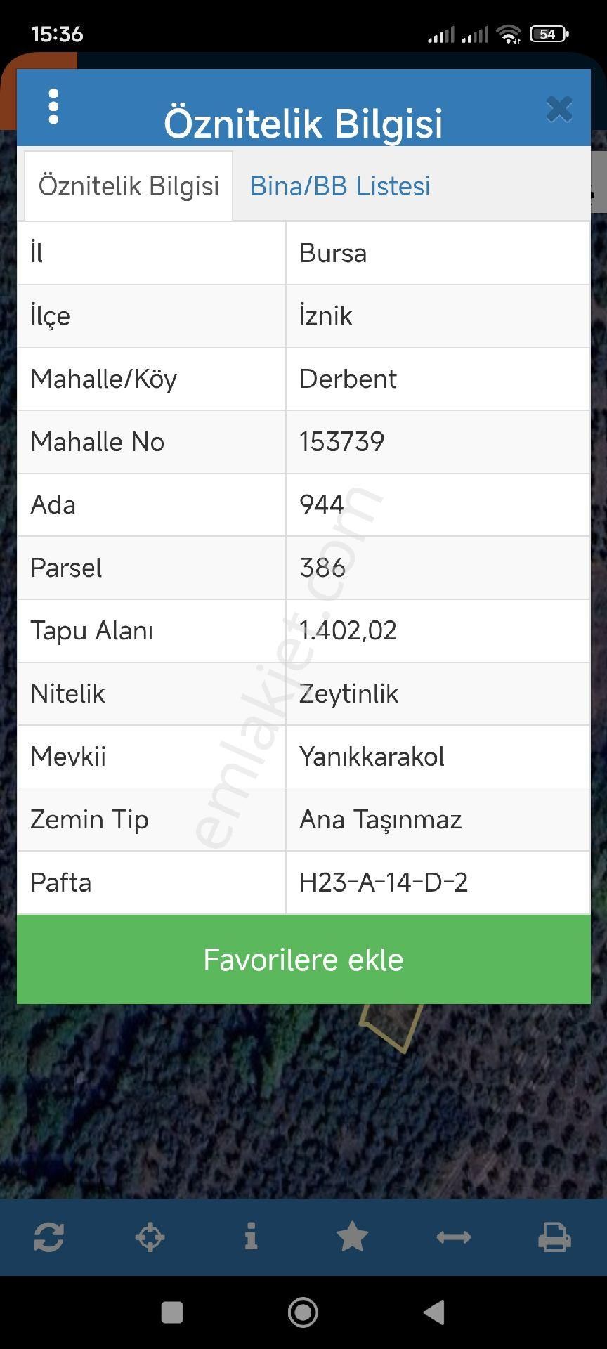 Satılık İznik Derbet Mah Zeytin Lik - Görsel 2