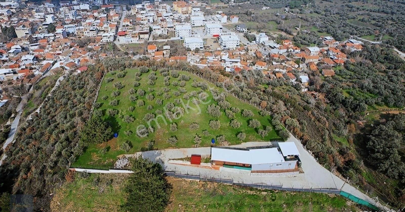 Bu Mülkün Emsali Yok Ama O Bölgede Ki En Uygun Fıyata!
