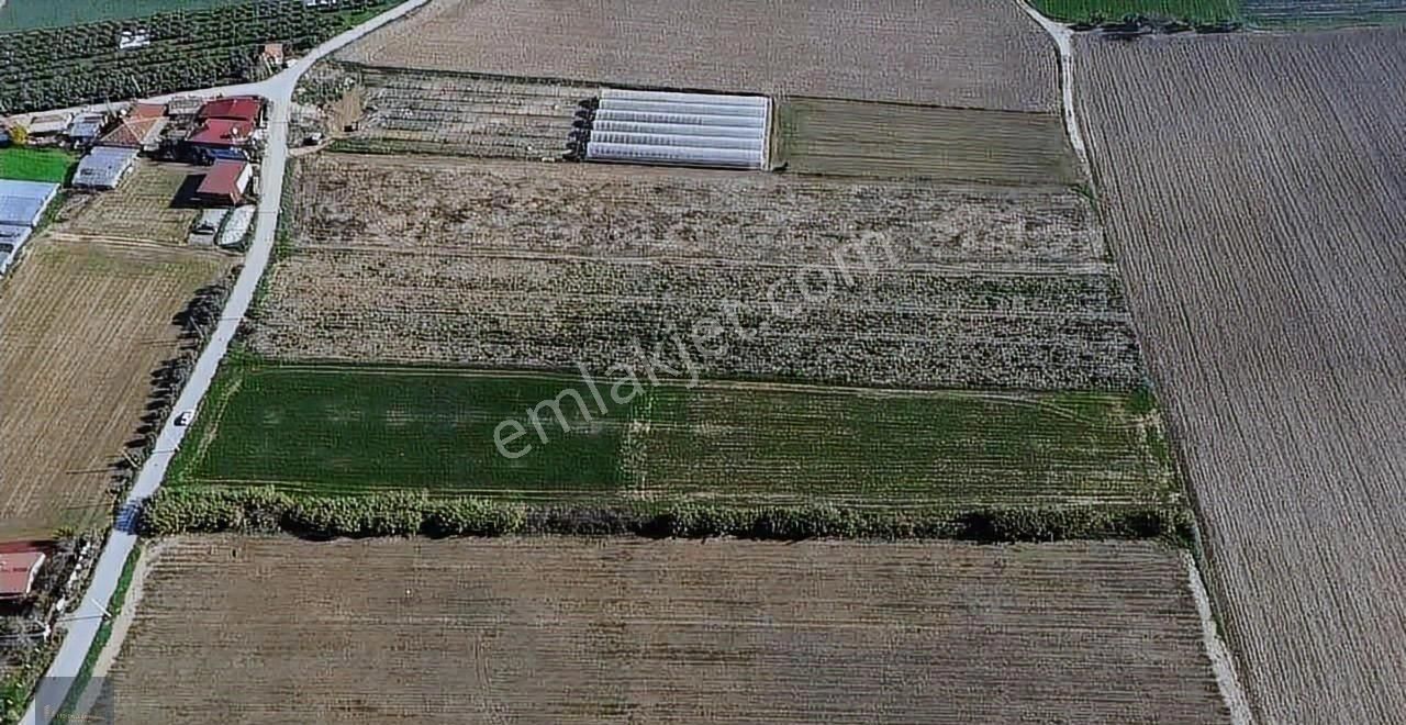 Torbalı Şehitler Köyün'de 9250 M2 Acil Satılık Kelepir Fiyata - Görsel 6