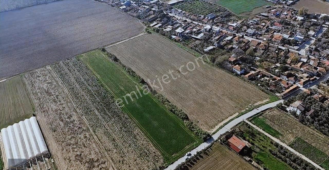 Torbalı Şehitler Köyün'de 9250 M2 Acil Satılık Kelepir Fiyata - Görsel 2
