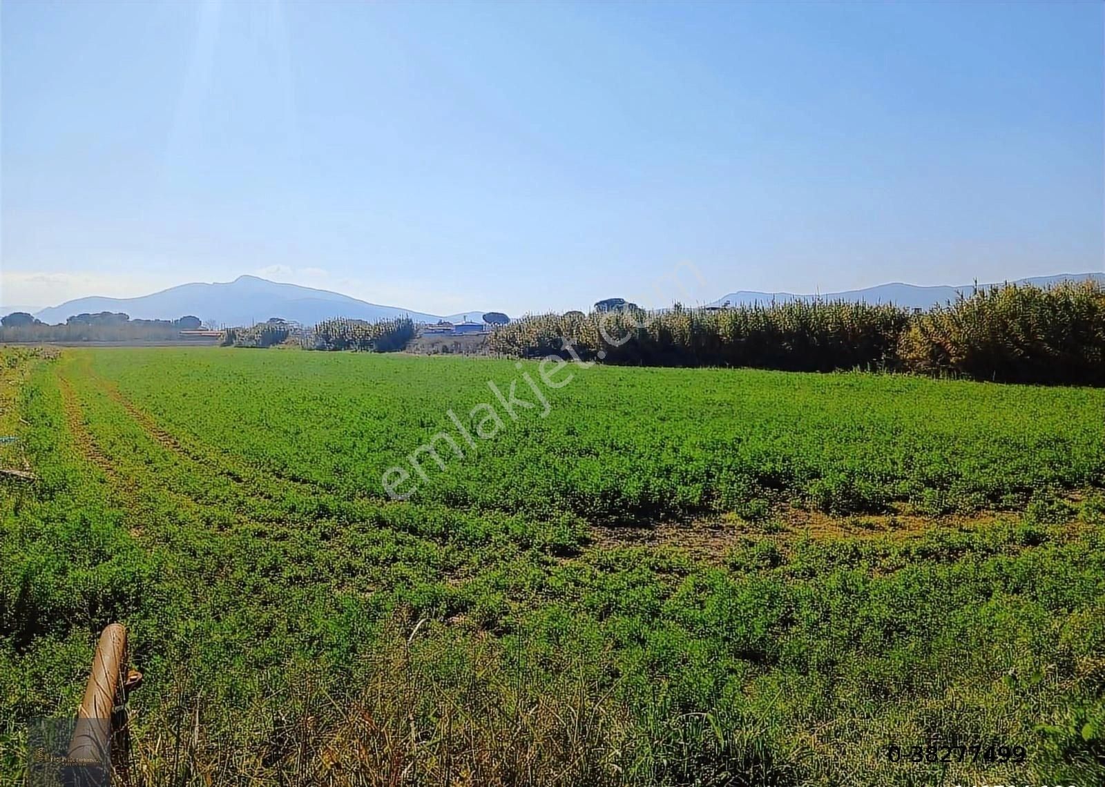 Torbalı Şehitler Köyün'de 9250 M2 Acil Satılık Kelepir Fiyata - Görsel 7