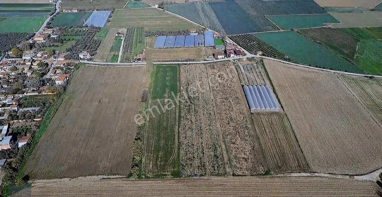 Torbalı Şehitler Köyün'de 9250 M2 Acil Satılık Kelepir Fiyata - Görsel 13