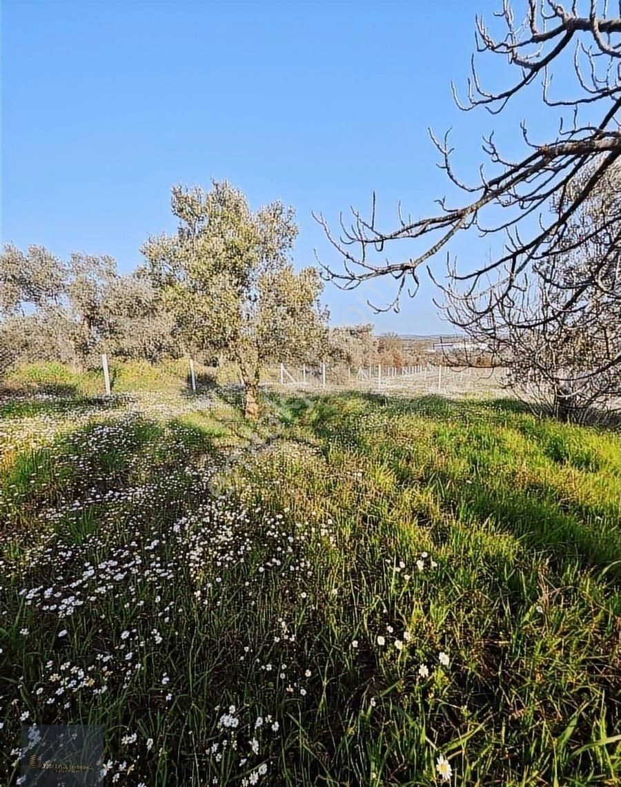 Torbalı Karakuyu'da 388m2 Hisseli Şehre 10dk Elk+su+tel - Görsel 21