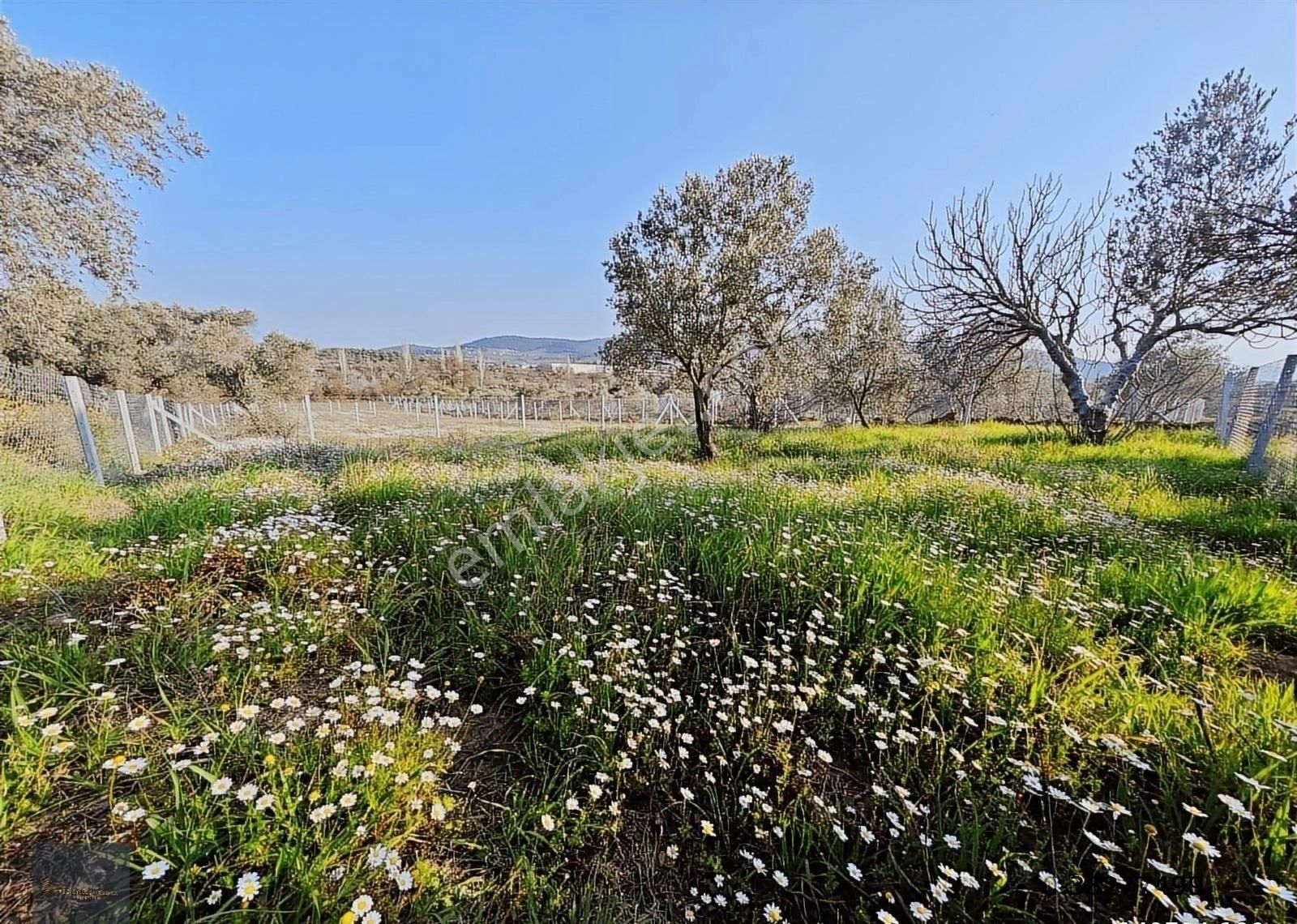 Torbalı Karakuyu'da 388m2 Hisseli Şehre 10dk Elk+su+tel - Görsel 9