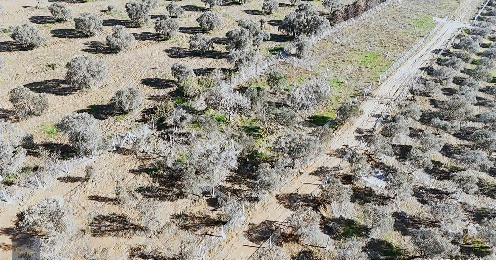 Torbalı Karakuyu'da 388m2 Hisseli Şehre 10dk Elk+su+tel - Görsel 20