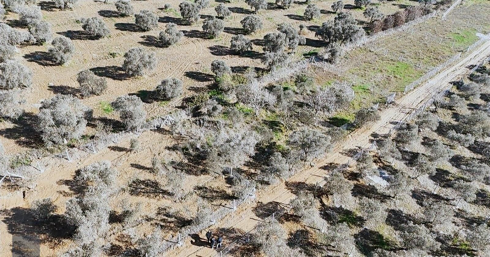 Torbalı Karakuyu'da 388m2 Hisseli Şehre 10dk Elk+su+tel - Görsel 29