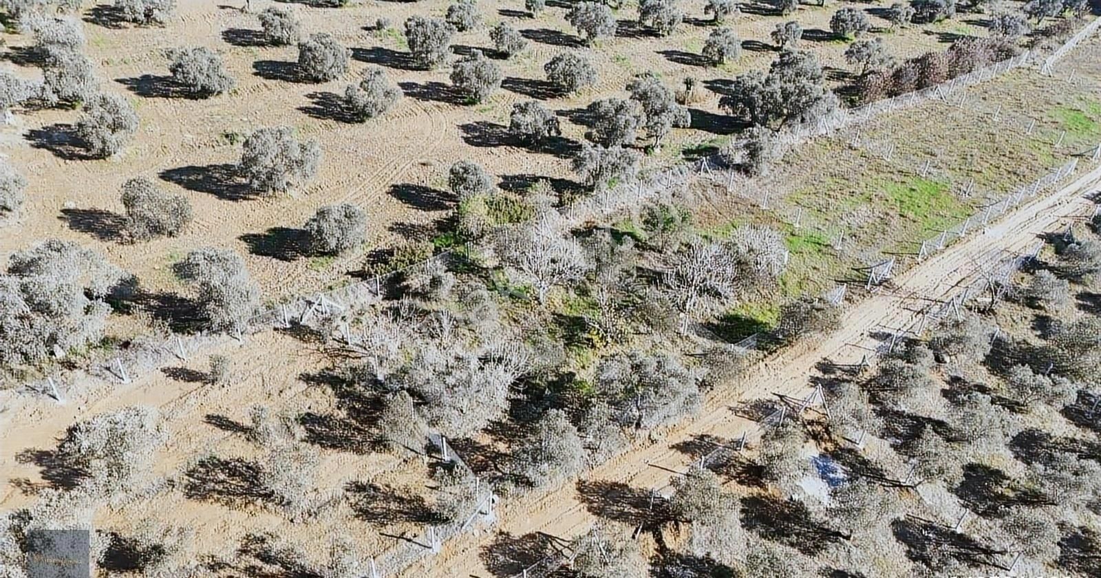 Torbalı Karakuyu'da 388m2 Hisseli Şehre 10dk Elk+su+tel - Görsel 23