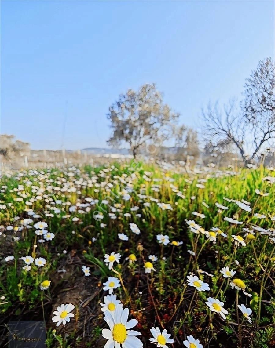 Torbalı Karakuyu'da 388m2 Hisseli Şehre 10dk Elk+su+tel - Görsel 16