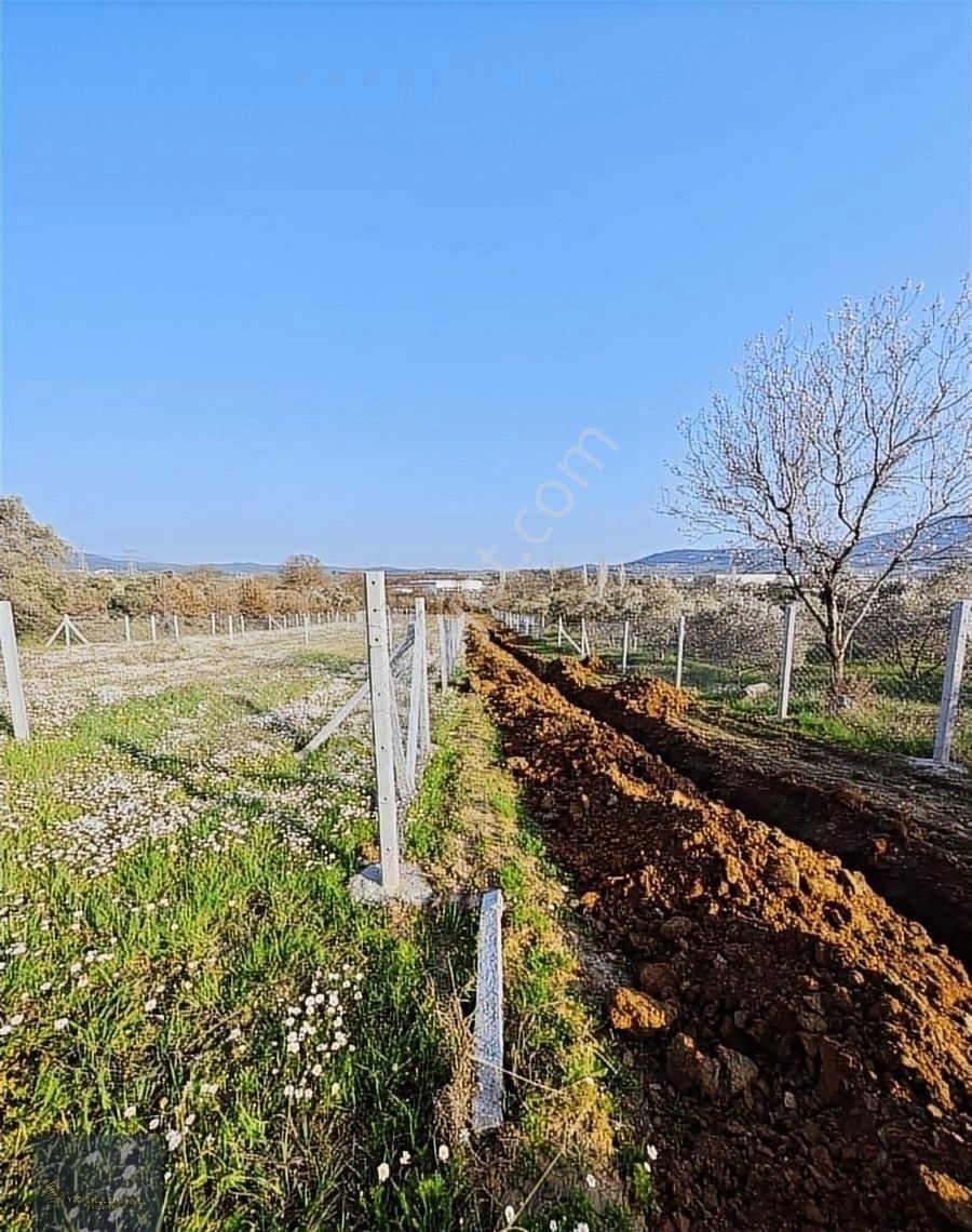 Torbalı Karakuyu'da 388m2 Hisseli Şehre 10dk Elk+su+tel - Görsel 22