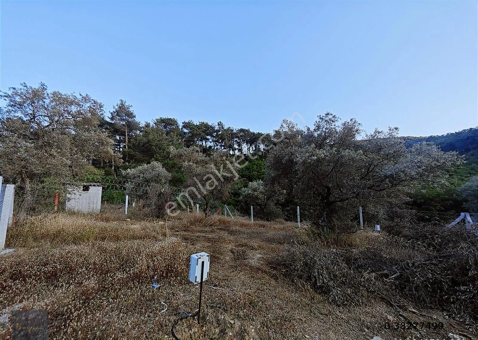Hisseli 350m2 Elektrik Su Aktif Önünden Dere Akıyor Satılık Acil - Görsel 14