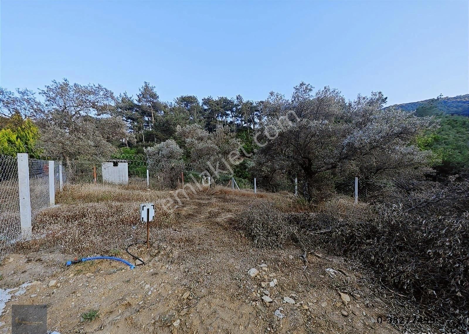 Hisseli 350m2 Elektrik Su Aktif Önünden Dere Akıyor Satılık Acil - Görsel 6