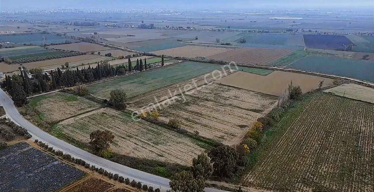 Torbalı Yeniköy'de 515 M2 Hisseli Elektrik,su Ana Asfalt Kenarı - Görsel 8