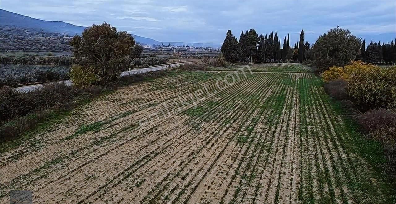 Torbalı Yeniköy'de 515 M2 Hisseli Elektrik,su Ana Asfalt Kenarı - Görsel 4