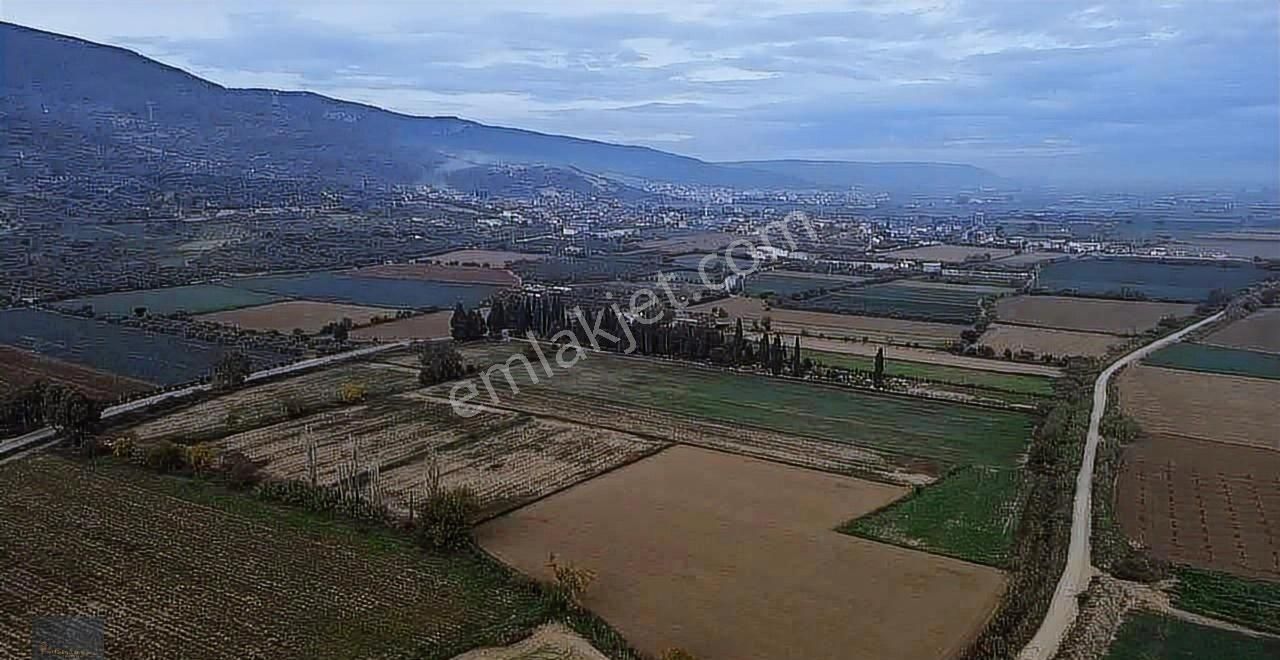 Torbalı Yeniköy'de 515 M2 Hisseli Elektrik,su Ana Asfalt Kenarı - Görsel 14