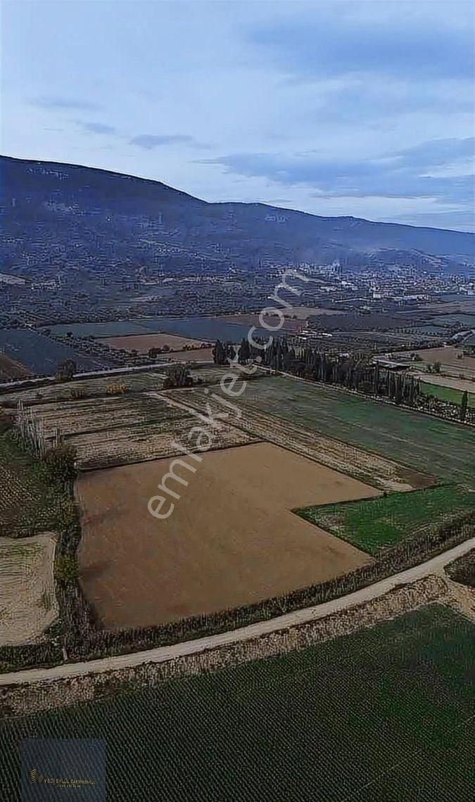Torbalı Yeniköy'de 515 M2 Hisseli Elektrik,su Ana Asfalt Kenarı - Görsel 17