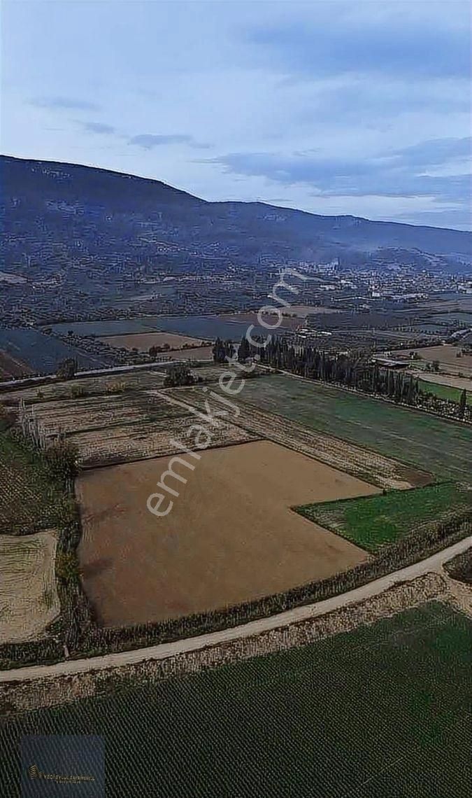 Torbalı Yeniköy'de 515 M2 Hisseli Elektrik,su Ana Asfalt Kenarı - Görsel 11