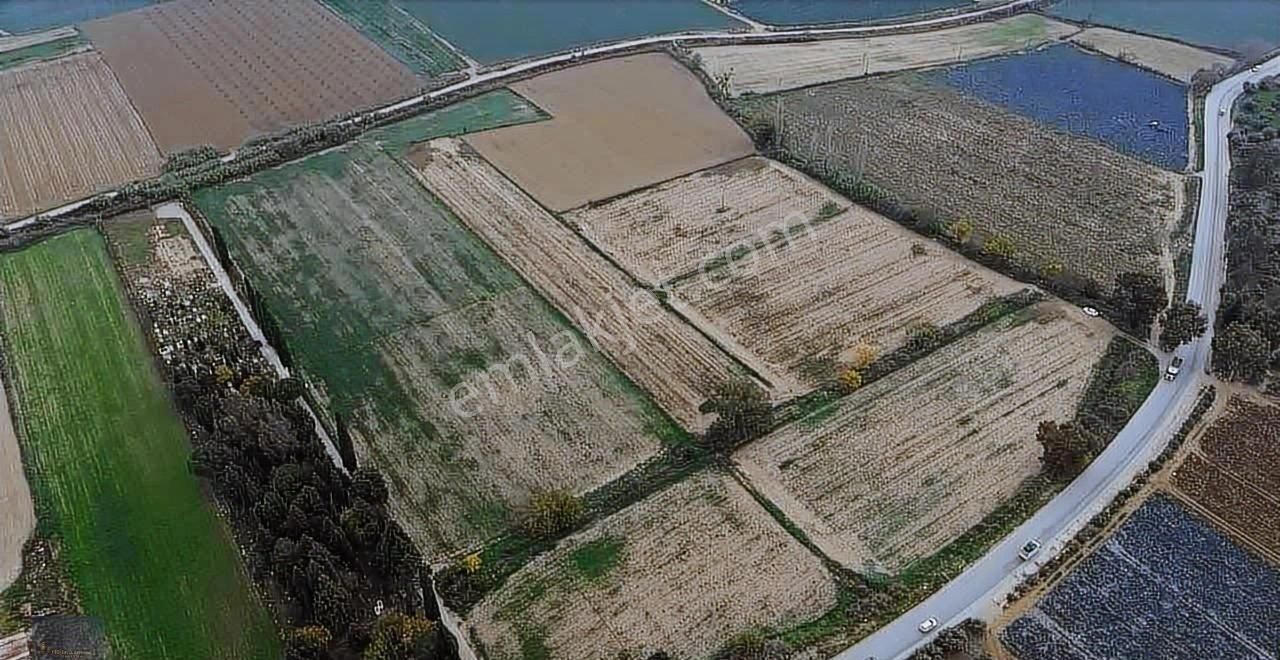 Torbalı Yeniköy'de 515 M2 Hisseli Elektrik,su Ana Asfalt Kenarı