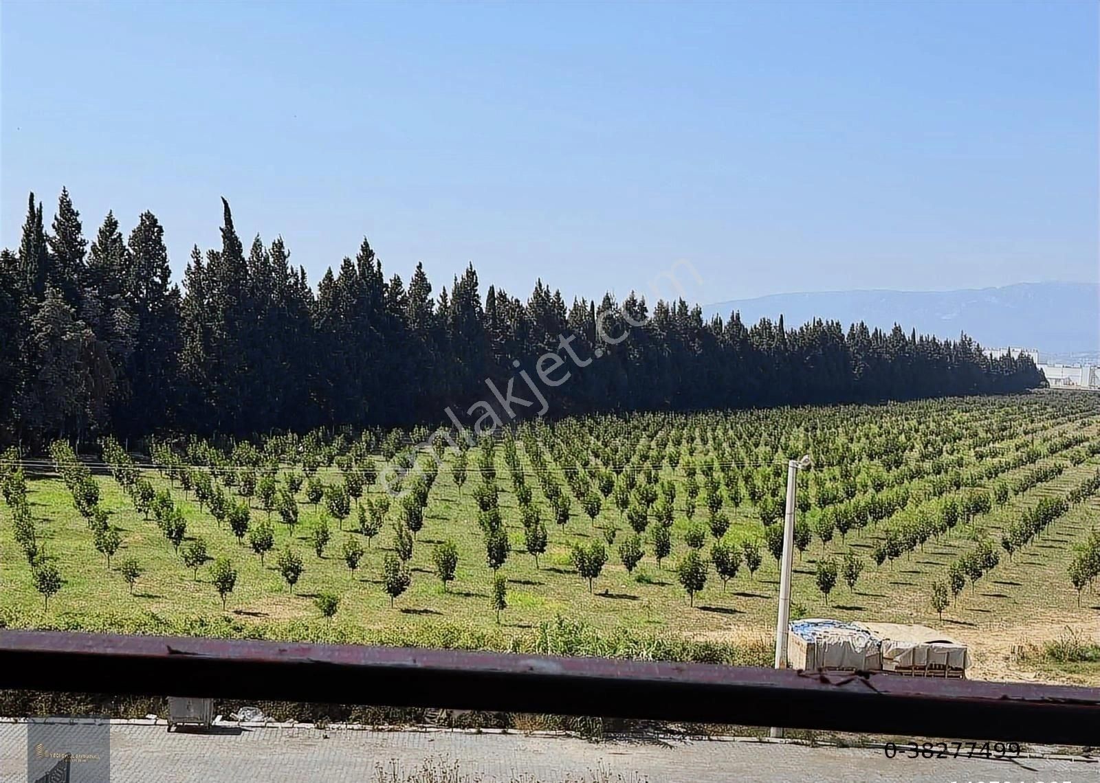 Yedi Eylül'de Yatırımlık Ara Kat 2+1 Ultra Lüks Satılık - Görsel 5