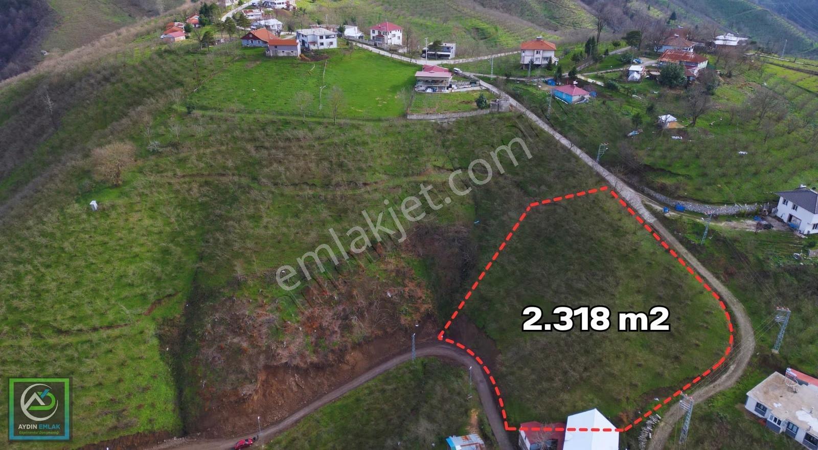 Aydın Emlak'tan Satılık İmarlı 2.318 M2 Arsa Yeniköy/akyazı - Görsel 7