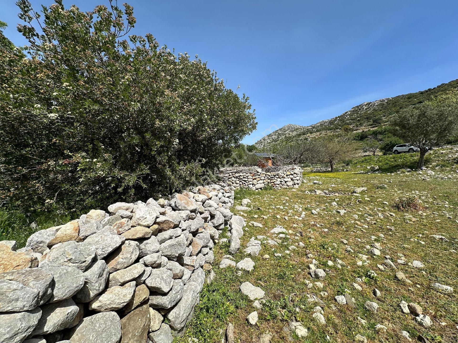 Joker: Serçe Limanı Yolunda Tiny House İçin Uygun Tarla - Görsel 12