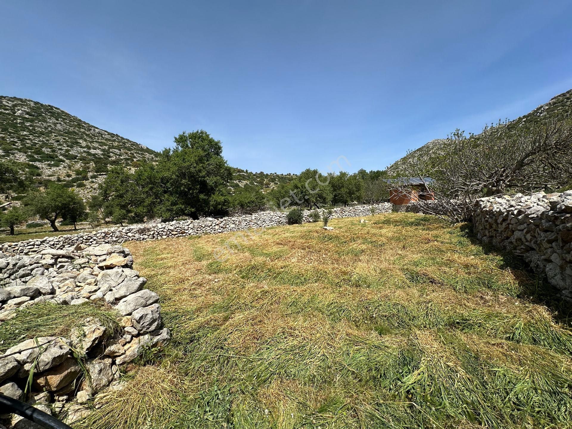 Joker: Serçe Limanı Yolunda Tiny House İçin Uygun Tarla - Görsel 3